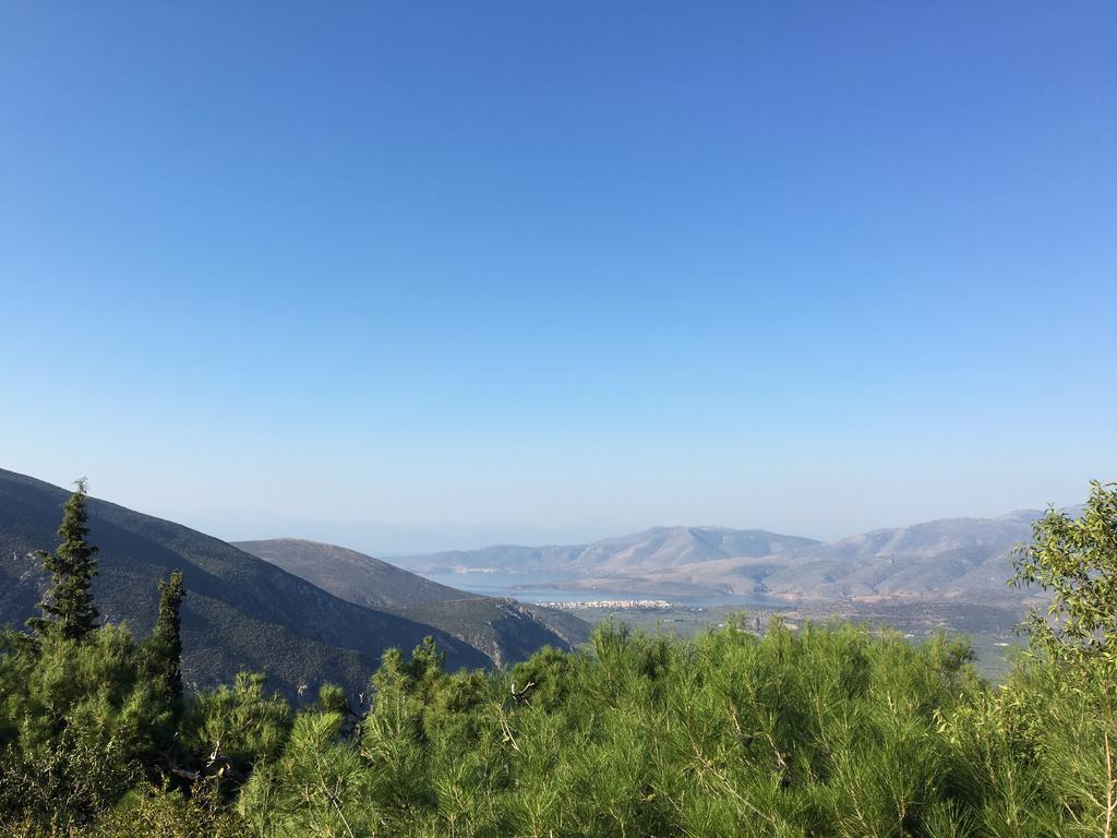 Delphi Palace Екстериор снимка